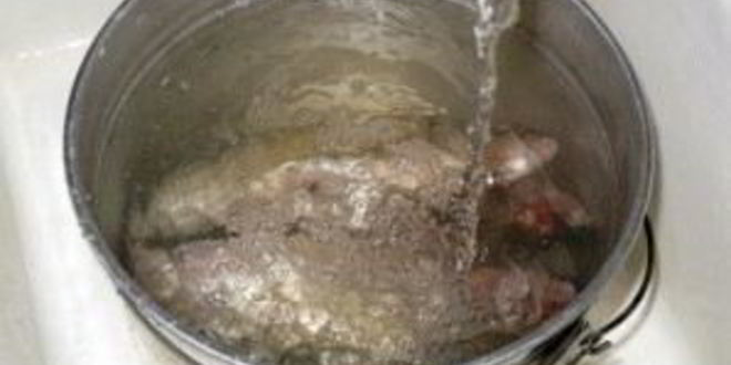 Рецепт ухи на природе