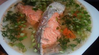 Рецепт Ухи с семгой