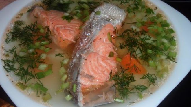 Рецепт ухи с семгой