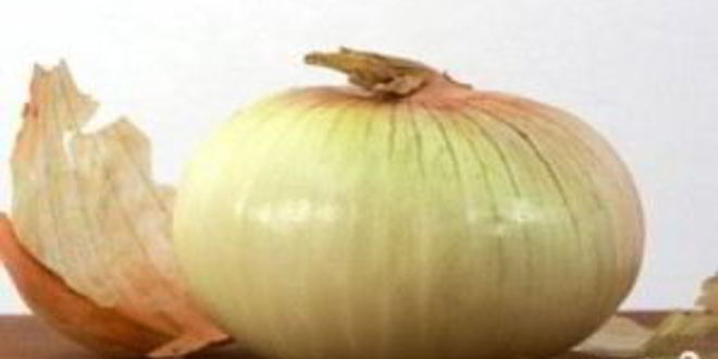 Рецепт ухи с водкой