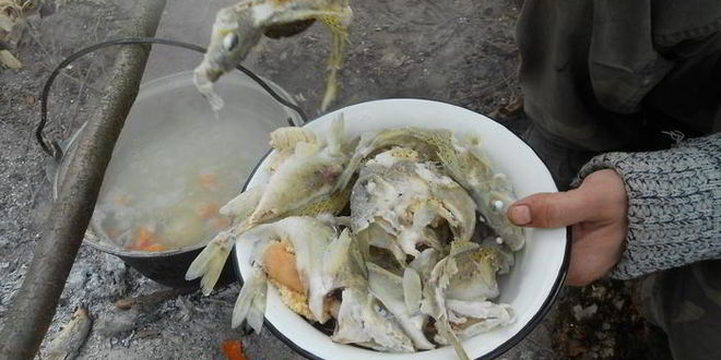 Рецепт ухи возле реки