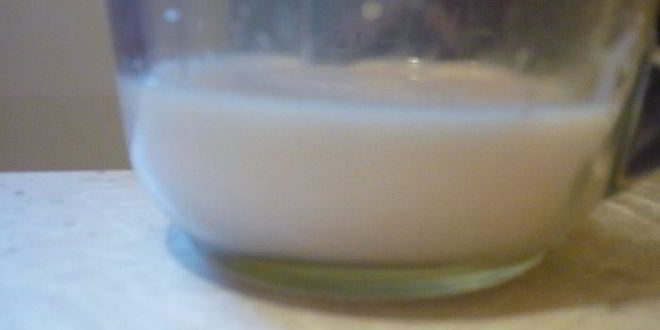 Рецепт булочек и рогалики зебра с шоколадной прослойкой