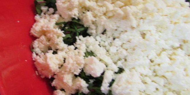 Рецепт булочек с листьями свеклы и свежим сыром