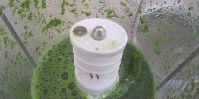 Рецепт шпинатна-ржаных булочки