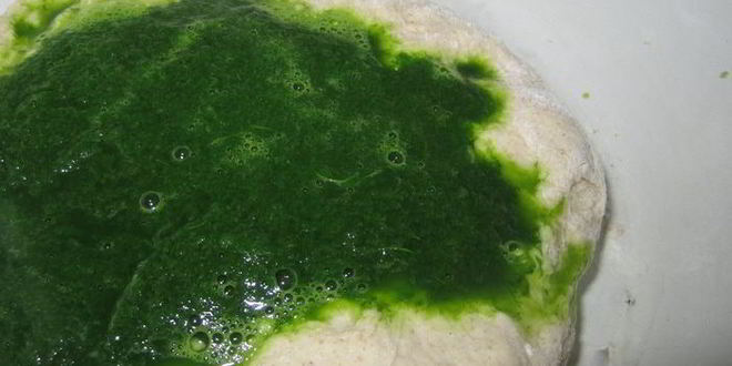 Рецепт шпинатна-ржаных булочки