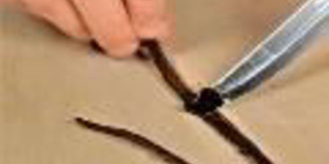 Рецепт ванильного чизкейка с грецкими орехами