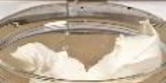 Рецепт ванильного чизкейка с грецкими орехами