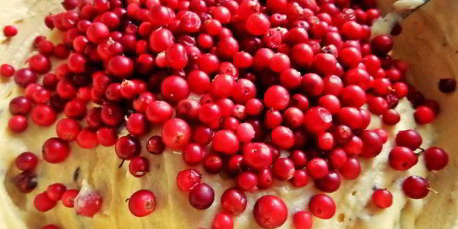 Рецепт бруснично-шоколадных кексы