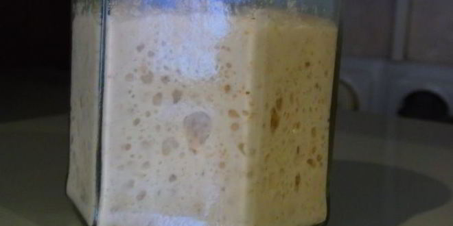 Рецепт хлеба с оливковым маслом на закваске