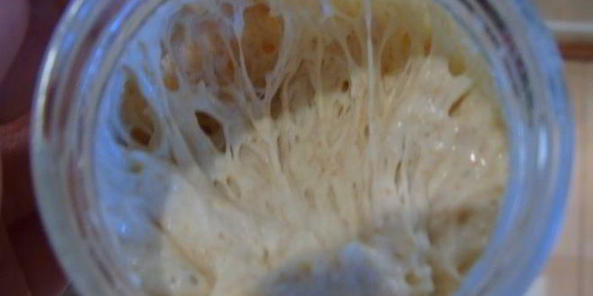 Рецепт хлеба с оливковым маслом на закваске