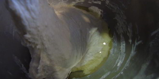 Рецепт хлеба с оливковым маслом на закваске