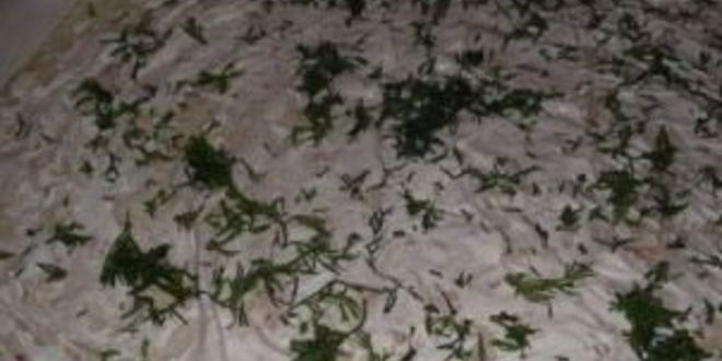 Рецепт лаваша с грибами и сыром