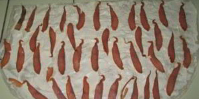 Рецепт рулетиков из лаваша с рыбой