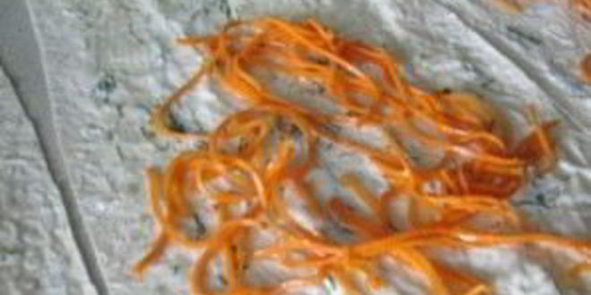 Рецепт свинины в лаваше