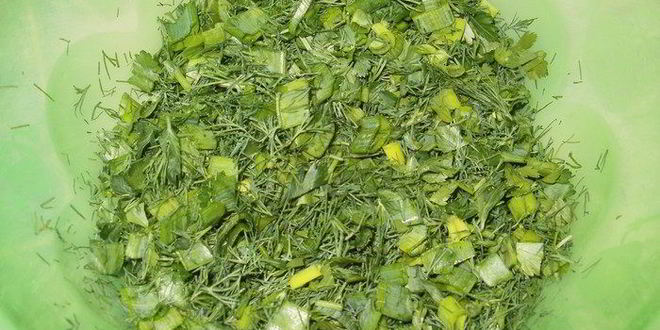 Рецепт хлебных весенних лепешек