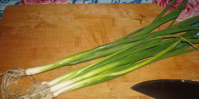 Рецепт оладий из картофеля и кабачков