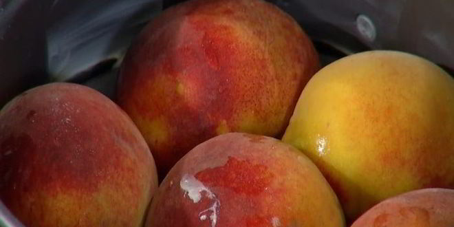 Рецепт пирога-перевертыша с персиками