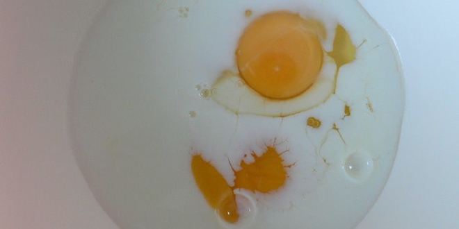 Рецепт виноградного пирога