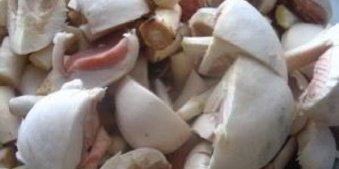 Рецепт пирожков картофельных с грибами