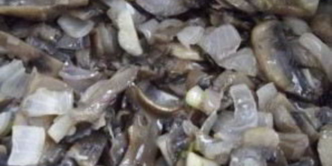 Рецепт пирожков с грибами и яйцом