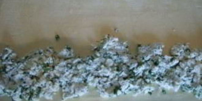 Рецепт пирожков с творогом за 5 минут