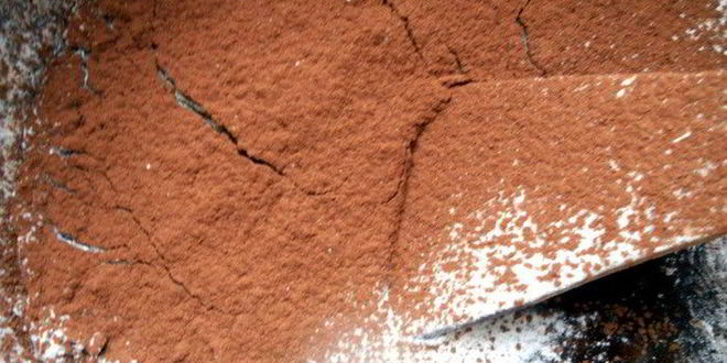 Рецепт пирожного christmas tree brownies