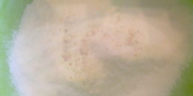 Рецепт коврижки браунис с грецкими орехами