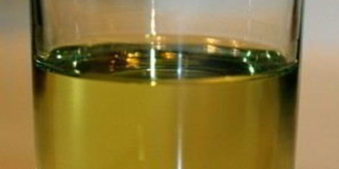 Рецепт коврижки шоколадной постной