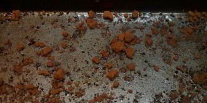 Рецепт шоколадного пряника чернослив в роме