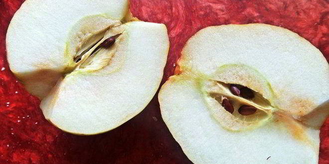 Рецепт хлебной шарлотки яблочно-ягодная