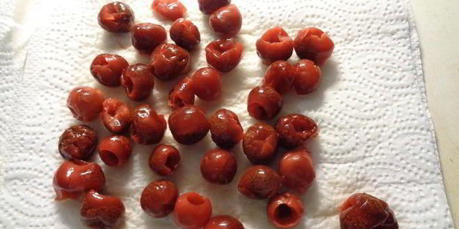 Рецепт шарлотки с ревенем, вяленой вишней и пряностями