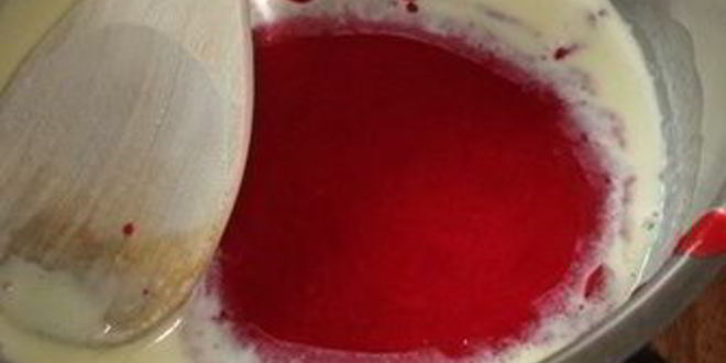 Рецепт шарлотки с шоколадно-малиновым муссом и воздушным ванильным кремом