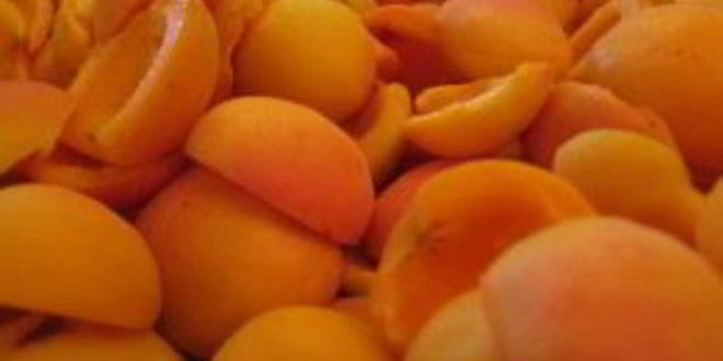 Рецепт шарлотки с яблоками и абрикосами