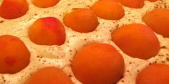 Рецепт шарлотки с яблоками и абрикосами