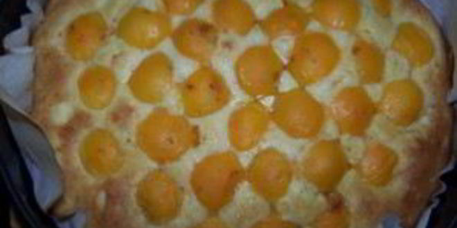 Рецепт шарлотки с яблоками и абрикосами