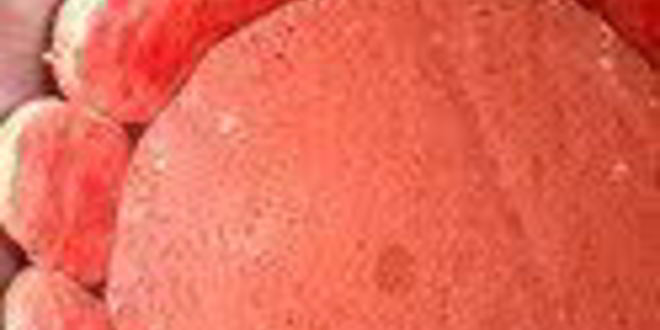 Рецепт шарлотки с запеченным ревенем, баварским фисташковым кремом и клубникой