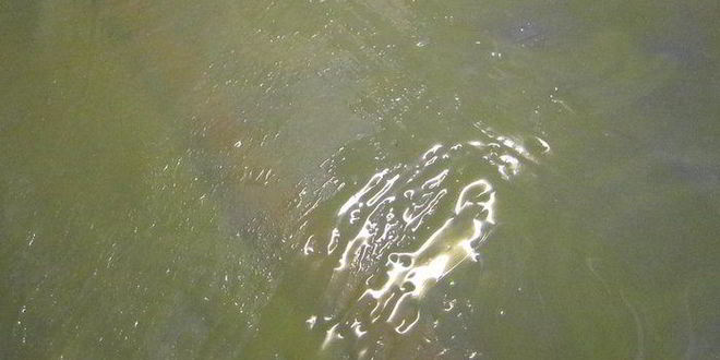 Рецепт штруделя с яблочно-грушевой начинкой