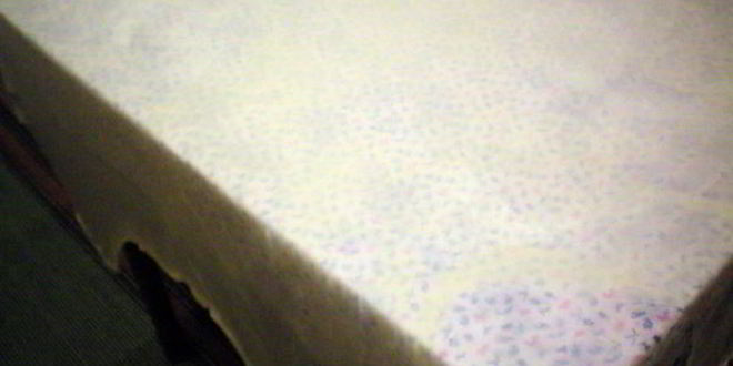 Рецепт штруделя с яблоками и орехами