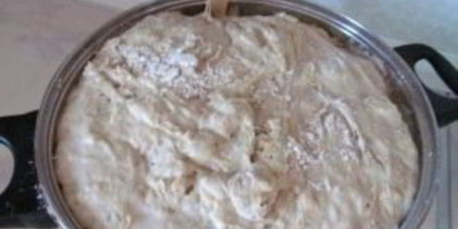 Рецепт теста на опаре для пирожков