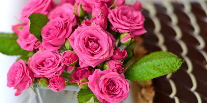 Рецепт торта наполеон шоколадно-сливочный