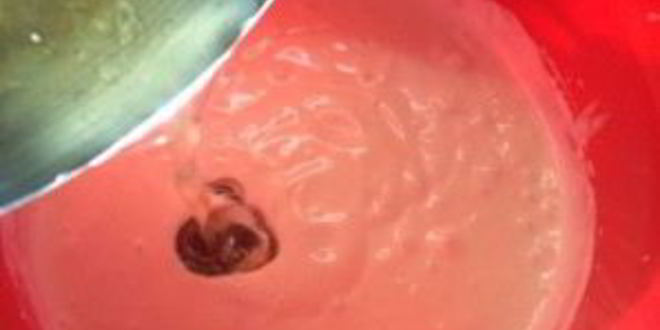 Рецепт торта с йогуртом и желатином