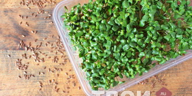 Рецепт хрустящих вафель