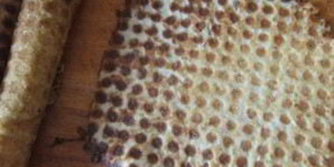 Рецепт трубочек со сгущенкой