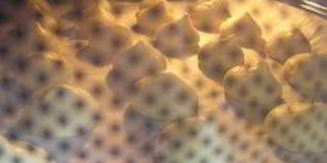 Рецепт профитролей с лимонным кремом