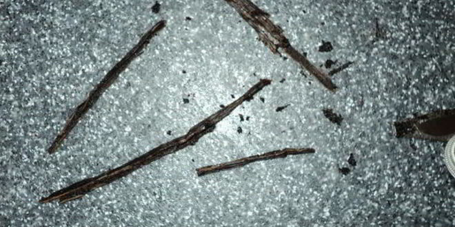 Рецепт профитролей с ванильным заварным кремом