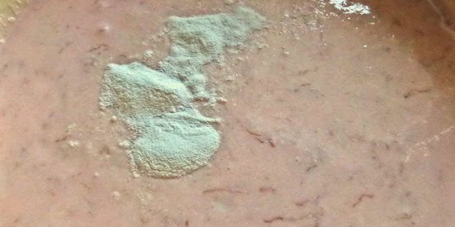 Рецепт творожной запеканки с фруктами