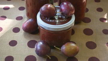 Рецепт Аджики из слив