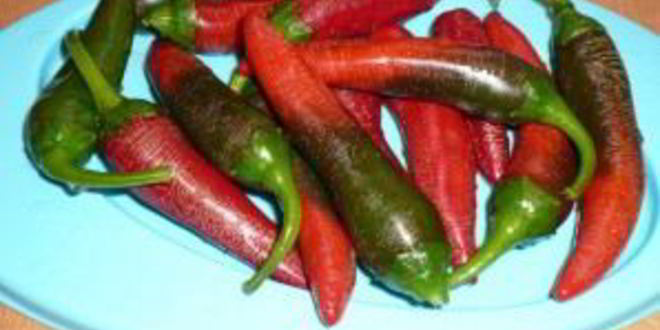 Рецепт аджики из томатов