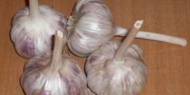 Рецепт аджики из томатов