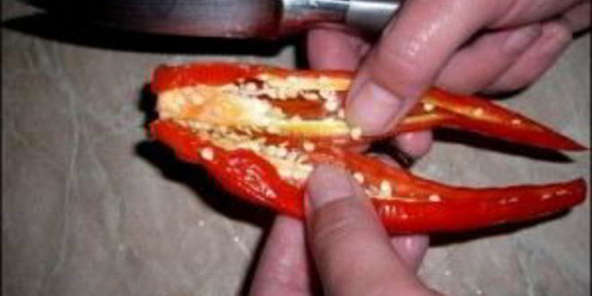 Рецепт баклажанов в аджике